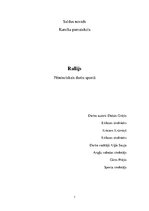 Konspekts 'Motokross', 1.