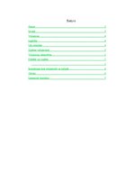 Referāts 'Viduslaiku kultūra', 2.