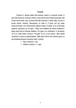 Referāts 'Viduslaiku kultūra', 3.