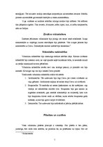 Referāts 'Viduslaiku kultūra', 5.