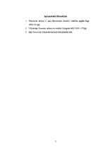 Referāts 'Viduslaiku kultūra', 7.