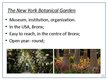 Prezentācija 'National Botanical Garden of Latvia. Comparison to the New York Botanical Garden', 10.