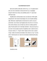 Referāts 'Burtu mācība', 16.