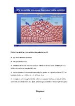 Referāts 'Dzemdes kakla vēzis', 7.
