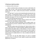 Referāts 'Uzņēmuma apskats', 3.