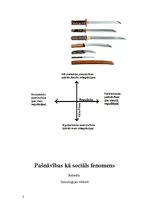 Referāts 'Pašnāvības kā sociālais fenomens', 2.