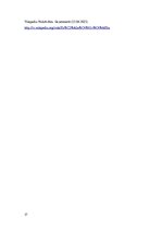 Referāts 'Pašnāvības kā sociālais fenomens', 17.