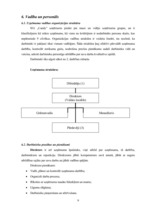 Biznesa plāns 'Konfekšu veikala "Candy" biznesa plāns', 7.