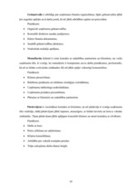 Biznesa plāns 'Konfekšu veikala "Candy" biznesa plāns', 8.