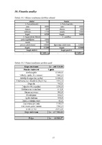 Biznesa plāns 'Konfekšu veikala "Candy" biznesa plāns', 15.