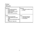 Biznesa plāns 'Konfekšu veikala "Candy" biznesa plāns', 20.