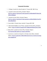 Eseja 'Pirmā pasaules kara sekas', 4.