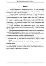 Referāts 'SIA rentabilitātes aprēķināšana', 3.