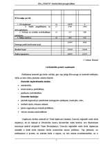 Referāts 'SIA rentabilitātes aprēķināšana', 9.