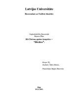 Biznesa plāns 'Tūrisma atpūtas komplekss SIA "Birzītes"', 1.