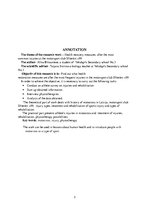 Referāts 'Veselības atjaunošanas pasākumi pēc biežāk sastopamajām traumām motosporta klubā', 3.