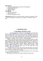 Referāts 'Veselības atjaunošanas pasākumi pēc biežāk sastopamajām traumām motosporta klubā', 6.