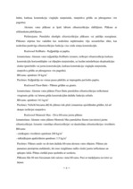 Konspekts 'Siltumizolācijas materiāli', 6.