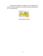 Referāts 'Liepājas ezers', 9.