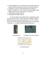 Referāts 'Liepājas ezers', 14.