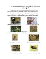 Referāts 'Liepājas ezers', 15.