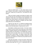 Referāts 'Liepājas ezers', 17.