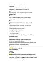 Biznesa plāns 'Biznesa plāna struktūras paraugs', 5.