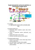 Referāts 'AS "Latvijas Valsts meži" uzņēmējdarbības analīze un attīstības perspektīvas', 10.