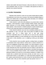 Diplomdarbs 'Ar kontrabandu saistītie tiesību pārkāpumi un valsts dienestu kompetence to apka', 37.