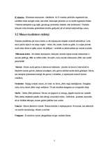 Prakses atskaite 'Prakses atskaite a/s "Hanzas Maiznīca"', 5.