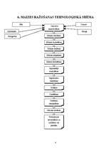 Prakses atskaite 'Prakses atskaite a/s "Hanzas Maiznīca"', 8.