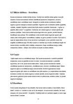 Prakses atskaite 'Prakses atskaite a/s "Hanzas Maiznīca"', 12.