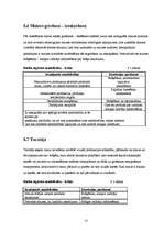 Prakses atskaite 'Prakses atskaite a/s "Hanzas Maiznīca"', 13.