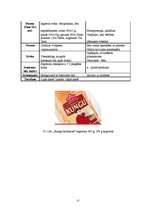 Prakses atskaite 'Prakses atskaite a/s "Hanzas Maiznīca"', 17.