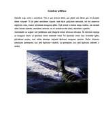 Referāts 'Arhimēda spēks', 11.