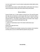 Referāts 'Arhimēda spēks', 13.