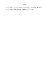 Referāts 'Arhimēda spēks', 17.