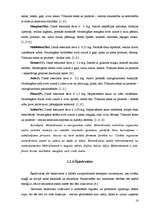 Referāts 'Vidusskolēnu zināšanas par veselīgu uzturu un attieksme pret to', 16.