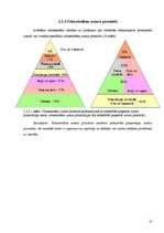 Referāts 'Vidusskolēnu zināšanas par veselīgu uzturu un attieksme pret to', 31.