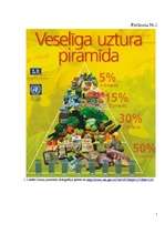 Referāts 'Vidusskolēnu zināšanas par veselīgu uzturu un attieksme pret to', 40.