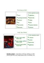 Referāts 'Mācību stundas plāns', 7.