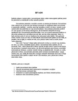 Referāts 'Harizmātiskais līderis - Raimonds Pauls. Līderība. Harisma', 2.