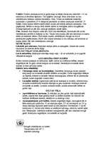 Konspekts 'Šūto izstrādājumu kopšana', 6.