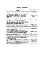 Konspekts 'Pētījums par Aleksandra Grīna valodu – strēlnieku pārdzīvojumu atveidotāju romān', 4.