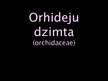 Prezentācija 'Orhideju dzimta', 1.