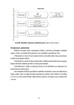 Diplomdarbs 'Metodiskā darba organizēšana un izvērtēšanas iespējas vispārizglītojošās skolāš', 34.