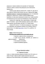 Referāts 'Mārketinga plāns SIA "Lattelecom"', 3.