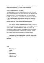 Referāts 'Mārketinga plāns SIA "Lattelecom"', 4.