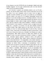 Eseja 'Svešā tēls Eiropas Savienības kontekstā', 7.