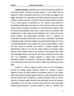 Referāts 'Administratīvās Ministru kabineta funkcijas', 4.